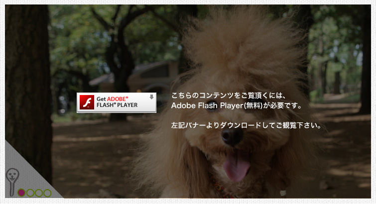 FlashPlayerダウンロード