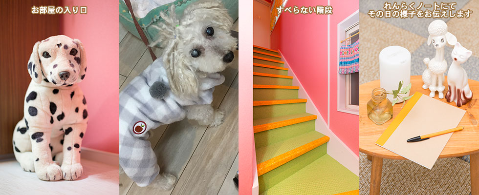 店舗案内 senior dog * daycare service園